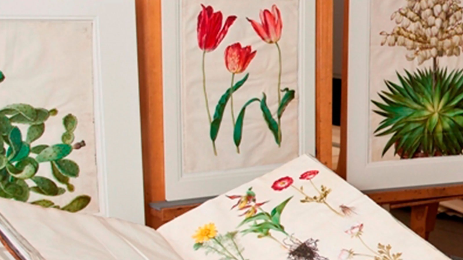 Państwowe Muzeum Sztuki
